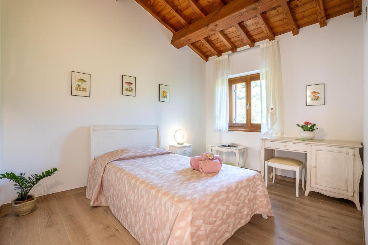 Single Room,1165549848:JPEG